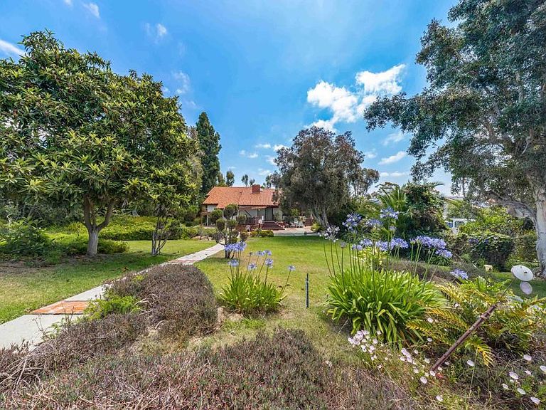 The expansive backyard at 245 Loma Corta Drive, with mature trees, fruit trees, agapanthus in bloom, and a walking path leading toward the home